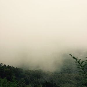 小李小李你好我要看大学生A片
