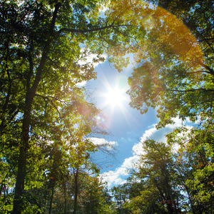 小李小李你好我要看大学生A片

