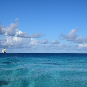 小李小李你好我要看大学生A片
